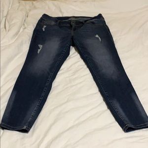 Torrid premium jeggings